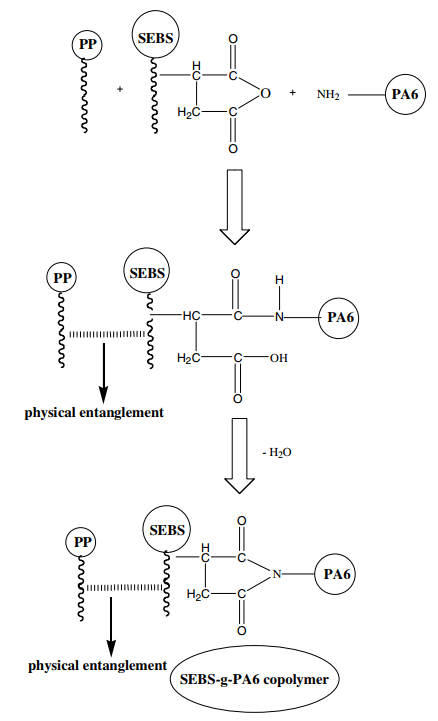 Mechanism of effect of SEBS-g-MA agent on polypropylene and polyamide bonding